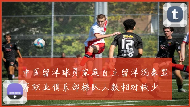 中国留洋球员家庭自主留洋现象显著职业俱乐部梯队人数相对较少