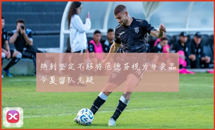 热刺坚定不移将范德芬视为非卖品今夏留队无疑