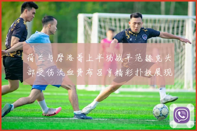 荷兰与摩洛哥上半场战平范赫克头部受伤流血费布吕亨精彩扑救展现实力